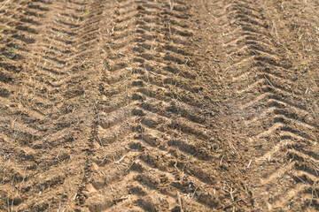 The traces of a tractor after harvesting flax