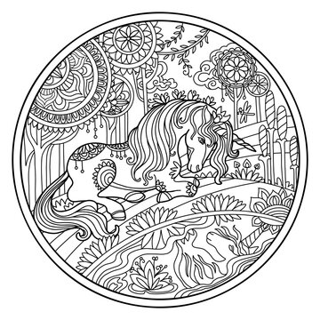 Beautiful decorative unicorn coloring vector illustration circle