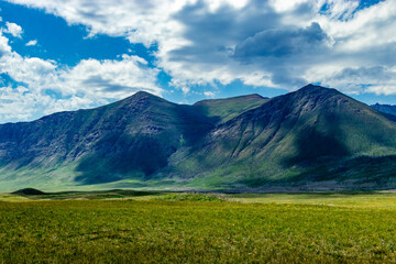 Fototapeta premium Bison Loop Waterton Lakes National Park Alberta Canada