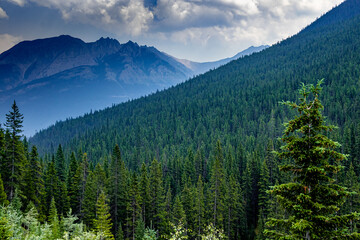 Sunshine Mountain Road Banff National Park Alberta Canada