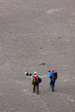 Two Men And A Dog Walking