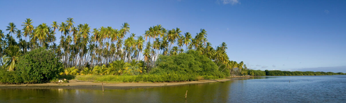 A view from the water of Kiowea Park and the Kapuaiwa Coconut Grove, Molokai, Hawaii.
