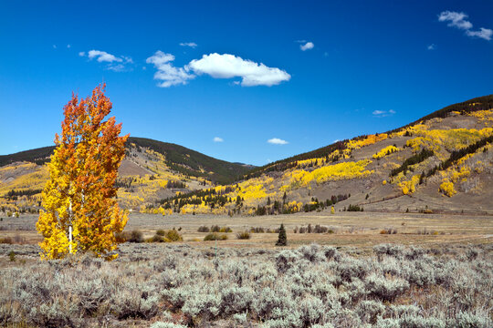 Autumn landscape with mountains, Top of the Rockies Scenic Byway, Camp Hale, Colorado, USA