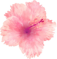 Watercolor Hibiscus Tropical Flower Illustration