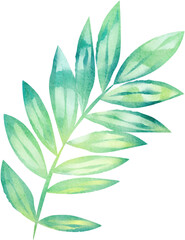 Watercolor Fern Tropical Leaf Illustration