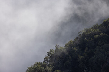 Fototapeta premium Mystical fog that comes over a mountain ridge and brings an epic atmosphere.