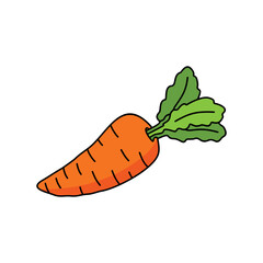 Carrot vector illustration. Cartoon Carrot vegetable. Carrot hand draw isolated.