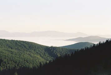 Fototapeta premium morning in the mountains