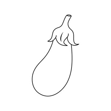 Eggplant vector illustration. Cartoon eggplant vegetable. Eggplant hand draw isolated.