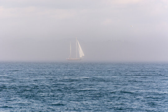 Ghost Ship