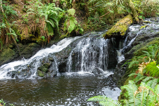 Waterfall in the Woods