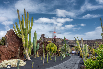Lanzarote, Spain, 19 March 2022 : The Cactus Garden, called "Jardin de Cactus", with many species of cactus from all around the world, in the volcanic island of Lanzarote, Canary Islands