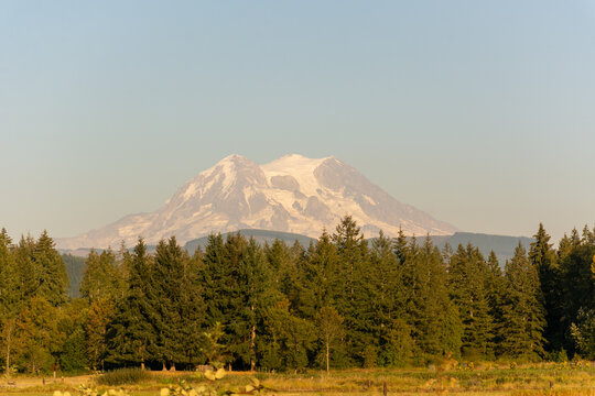 Goodbye Rainier