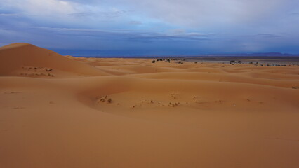 A beautiful scenery of western Sahara dunes seen right after the sunrise near the town of Merzouga, Morocco. 