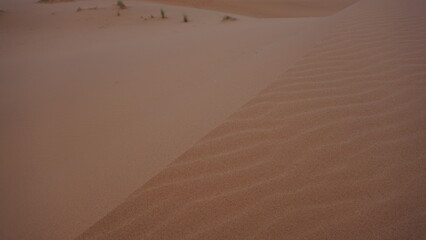 Sand ripples on a moroccan Sahara erg, near the settlement of Merzouga.