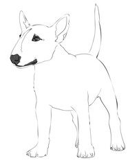 Bull Terrier dog rendered in brush strokes