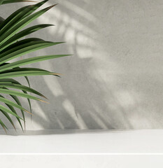 Modern and minimal white marble counter, green tropical palm tree leaf in dappled sunlight on gray concrete wall for luxury beauty, cosmetic, organic, nature, fashion product display 