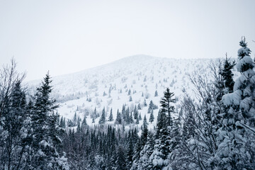 Obraz premium mountain covered by snow in winter