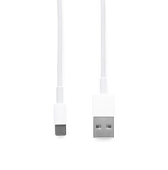 USB to lightning cable isolated on white, top view. Modern technology