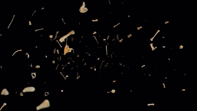 particles of bones