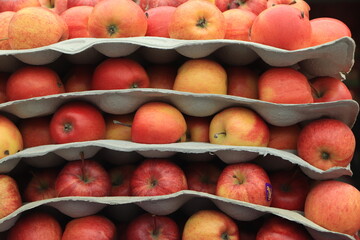 A lot of apples spread all over the screen. Food background. View from above.