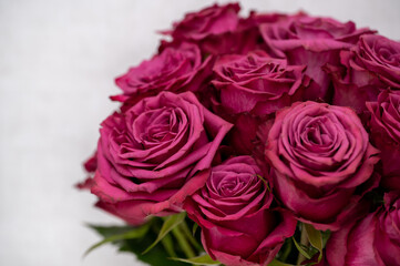 Bouquet of purple roses 