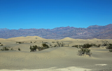Fototapeta na wymiar Mesquite Flat Sand Dunes - Death Valley National Park, California