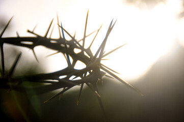 Crown of thorns with customizable space for the and Christian quotes. Christianity concept.