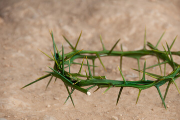 Crown of thorns with customizable space for the and Christian quotes. Christianity concept.