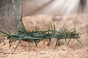 Crown of thorns with customizable space for the and Christian quotes. Christianity concept.