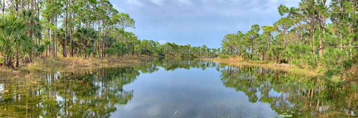 Lake in the forest on a hiking trail in central Florida