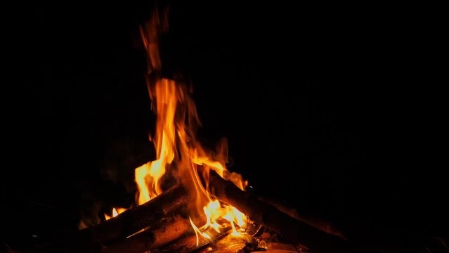 Close up of bright flame burning bonfire in dark on background of pine forest at summer