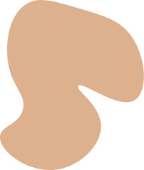 Boho Illustration shapes abstract