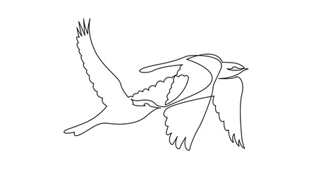 continuous line drawing of bird PNG image with transparent background