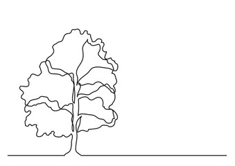 single line drawing of tree PNG image with transparent background