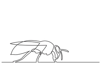 continuous line drawing of honey bee PNG image with transparent background