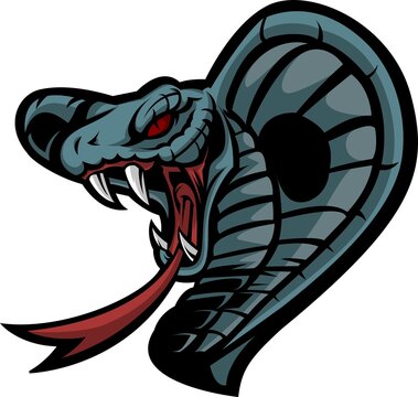 illustration vector graphic of cobra head mascot,good for ,logo sport,tshit design, and merchandise