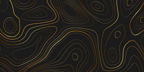 Fototapeta premium Topographic map lines background. Abstract vector illustration. Contour vector map. Golden topography lines on black background