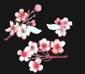 Fototapeta premium Free hand Sakura flower vector set, Beautiful line art Peach blossom isolate on white background.Branch of cherry blossom for printing on wallpapers and sticker.Japanese flower.Golden line art.