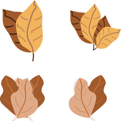 Fototapeta premium COLLECTION OF PICTURES OF TREE LEAVES