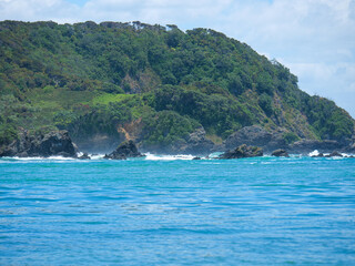 Northland coastline