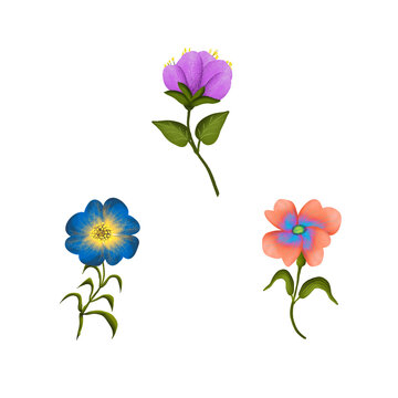 Colorful Cold Flower Icon Illustrations Vintage Style