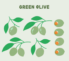 Green olives and leaves vector illustration on branch, easy to change color isolated from background