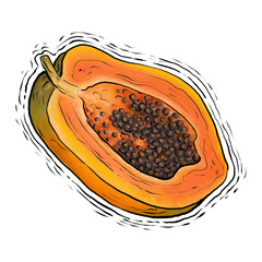 Papaya fruit drawing illustration