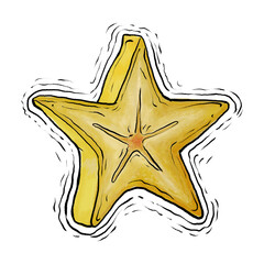 Star fruit or carambola drawing illustration