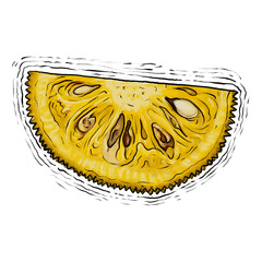 Jack fruit drawing illustration