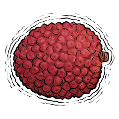 Lychee fruit drawing illustration