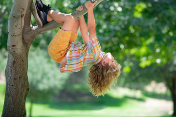 Kid boy playing and climbing a tree and hanging branch.