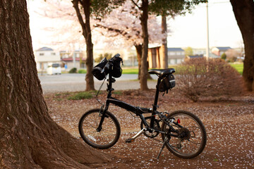 Fototapeta premium 自転車