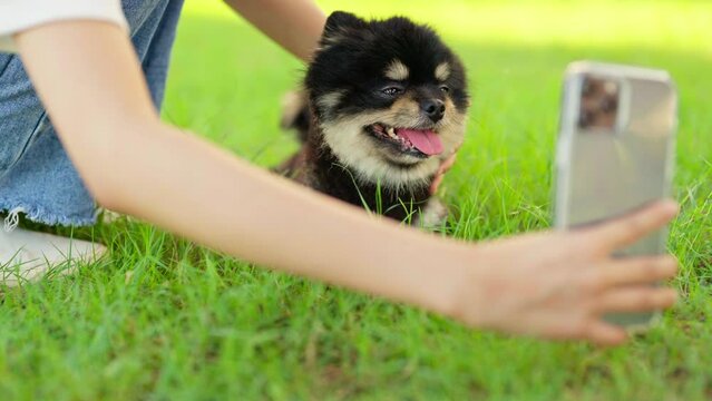 Happy young asian woman sitting on grass and photo selfie in the park with her dog. Pet lover concept